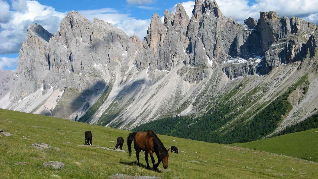 Villa Perla Selva di Val Gardena Kültér fotó